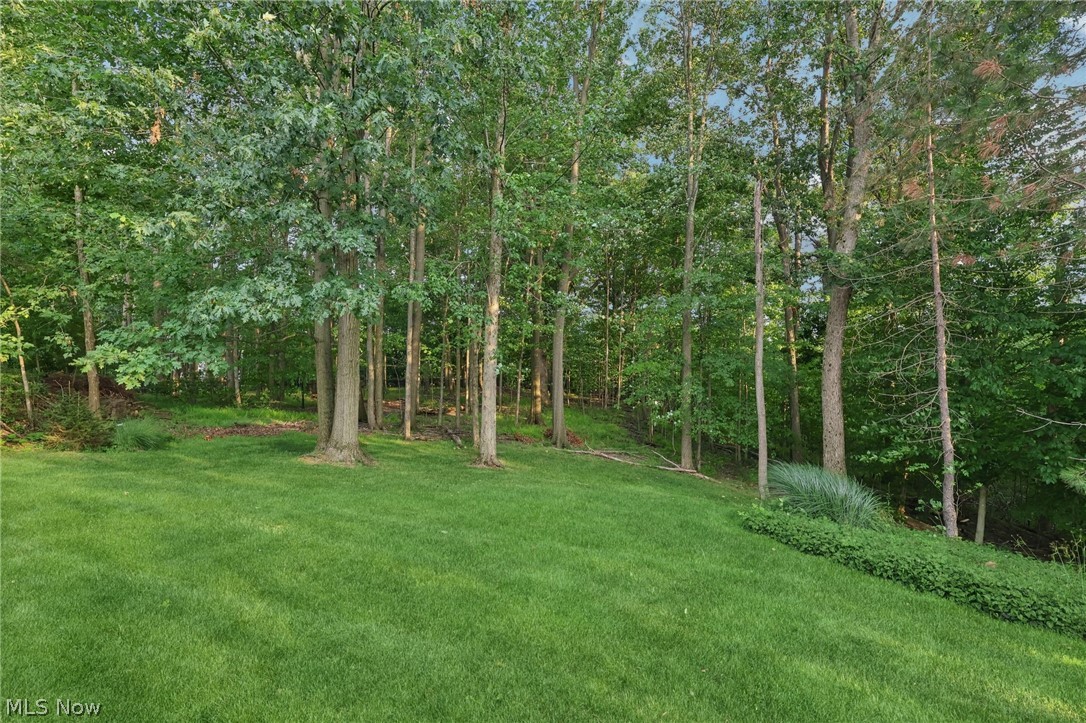 37540 Delamere Court Solon OH 44139