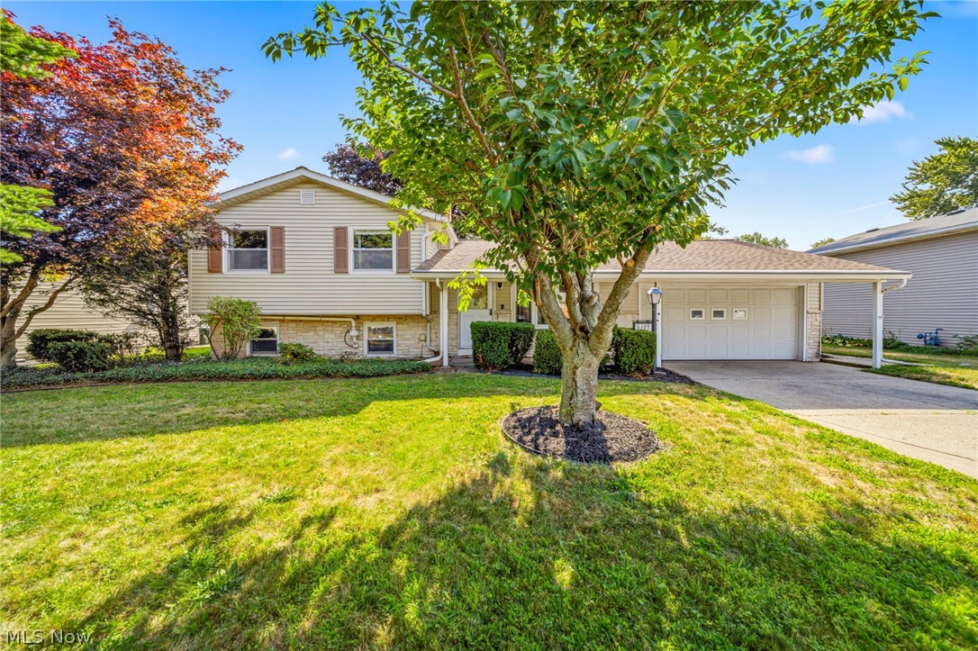 6389 Ambrose Drive Mentor OH 44060