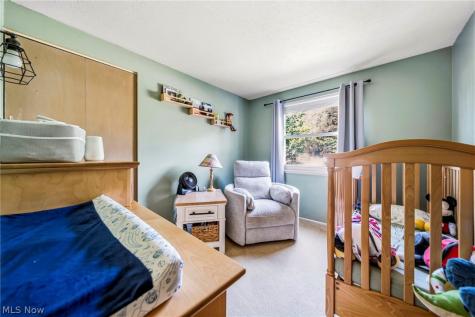6389 Ambrose Drive Mentor OH 44060