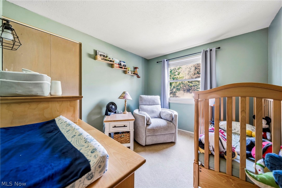 6389 Ambrose Drive Mentor OH 44060
