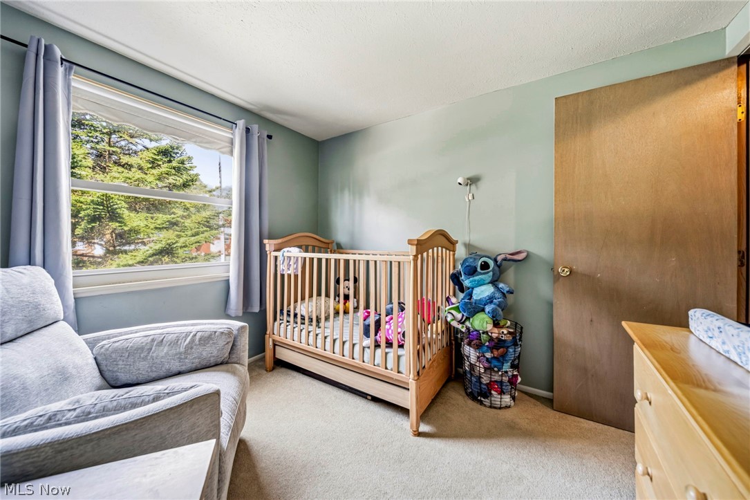 6389 Ambrose Drive Mentor OH 44060