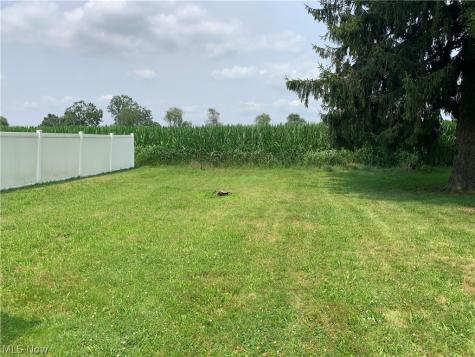 1017 Wellman Street Louisville OH 44641