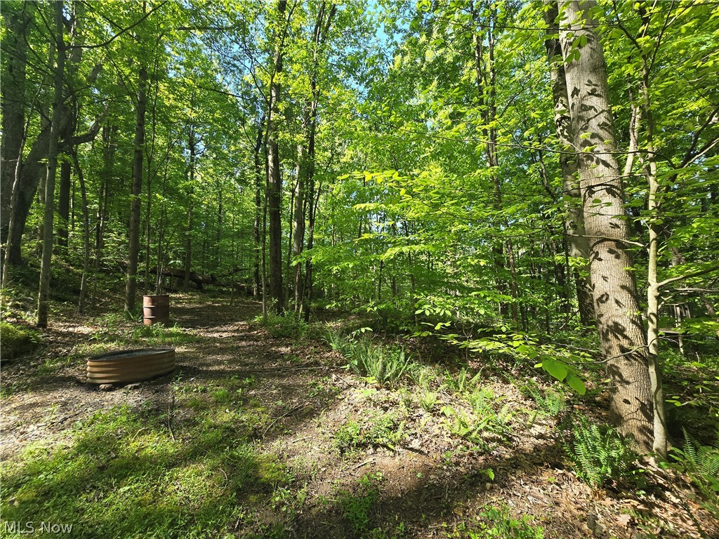 10660 Blackrun Road Frazeysburg OH 43822