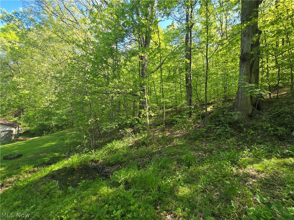 10660 Blackrun Road Frazeysburg OH 43822