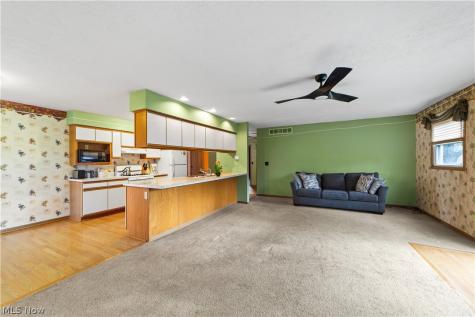 3869 Dayton Avenue Lorain OH 44052
