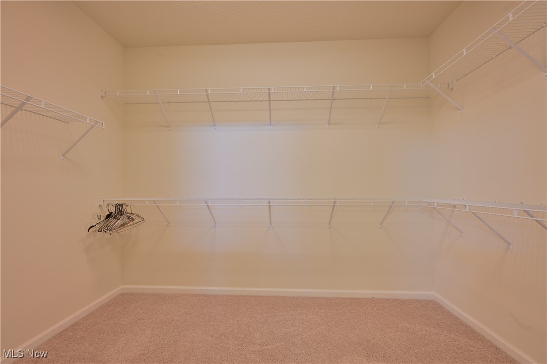 9103 Vernon Hill North Ridgeville OH 44039