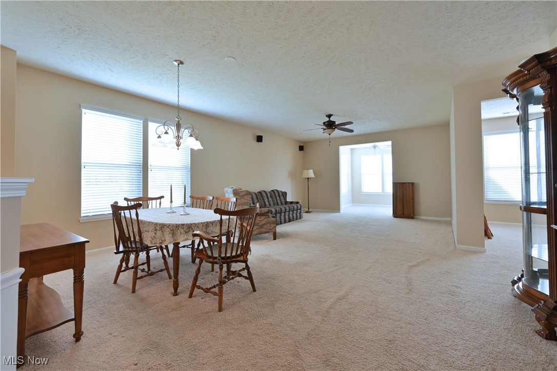 9103 Vernon Hill North Ridgeville OH 44039