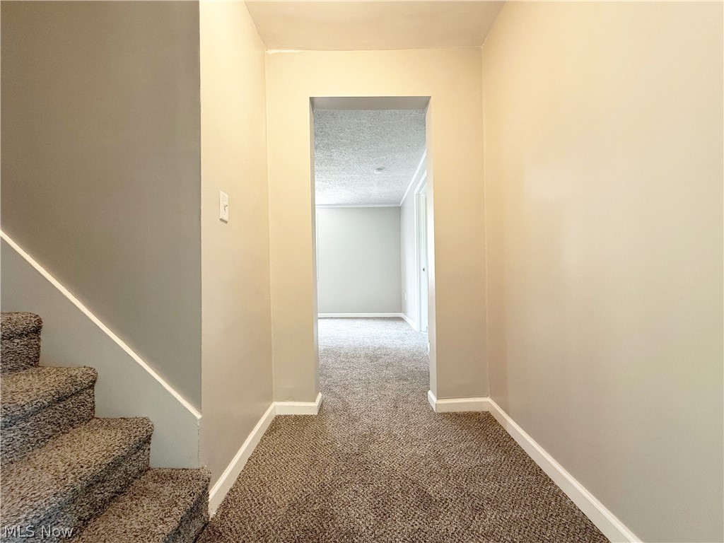 1615 Lehigh Avenue Lorain OH 44052