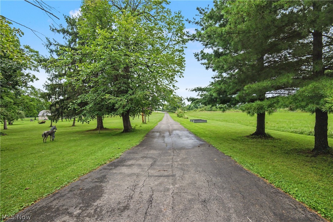 4502 Milligan Road Lowellville OH 44436