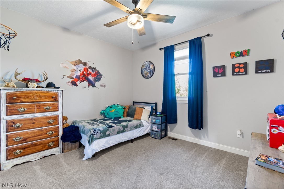 64568 Mt Olivett NE Road Barnesville OH 43713