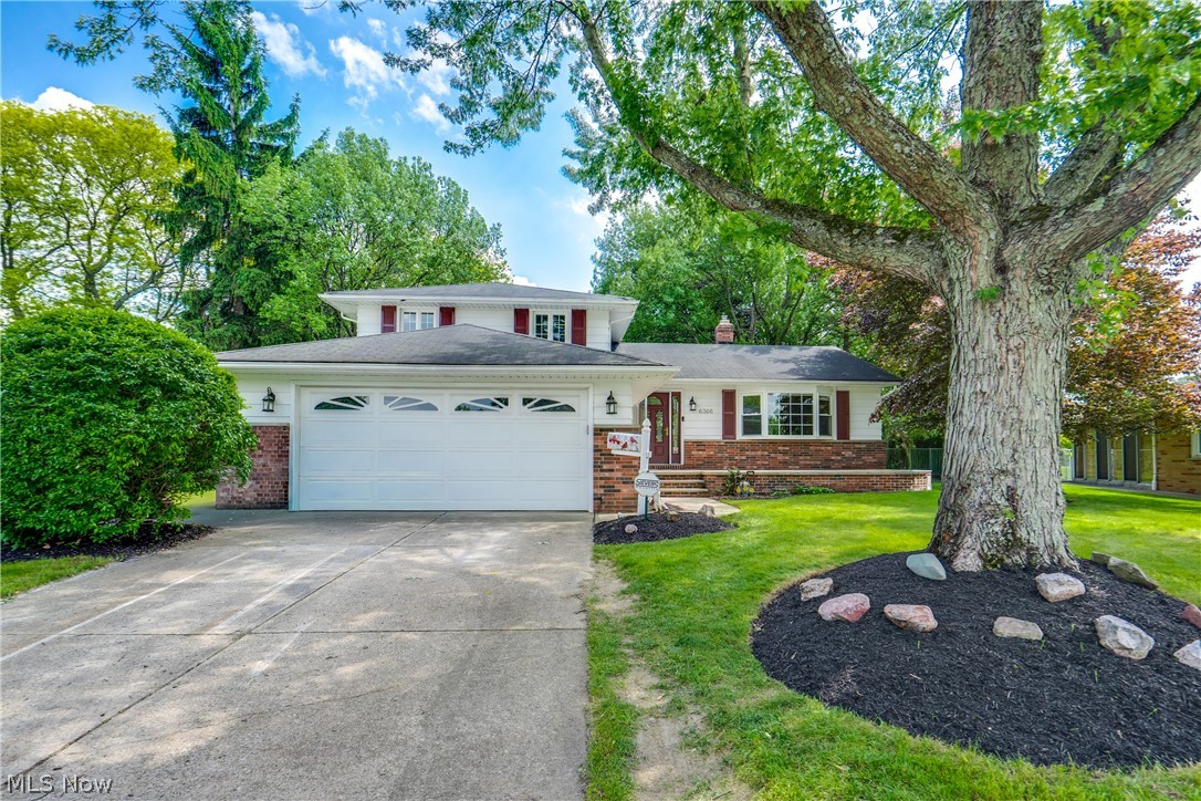 6366 Dunfield Drive Mayfield Heights OH 44143