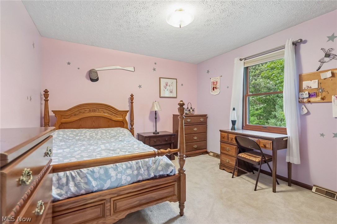 10037 Jamestown Drive North Royalton OH 44133