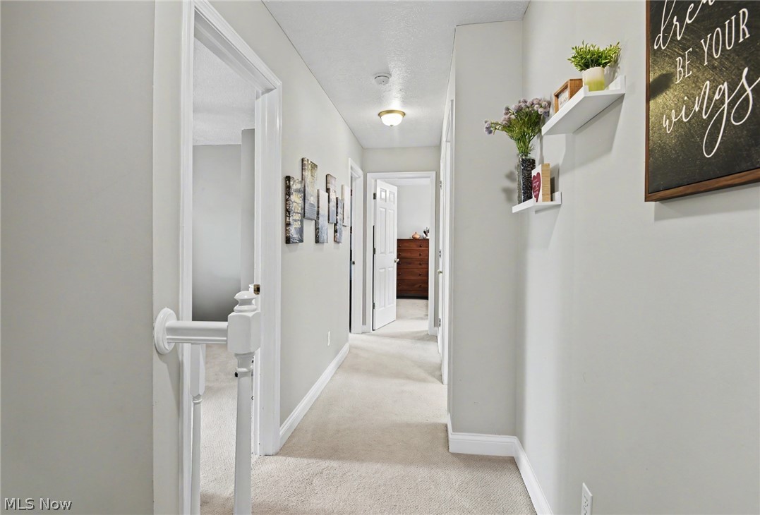 18 Morningview Circle Canfield OH 44406