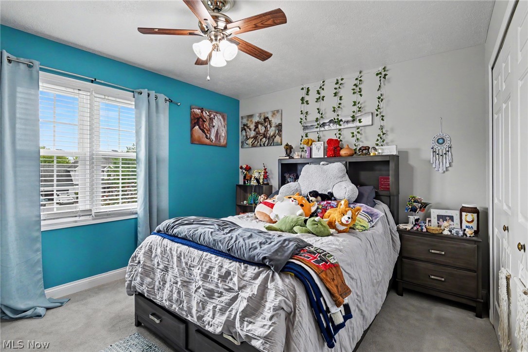 18 Morningview Circle Canfield OH 44406