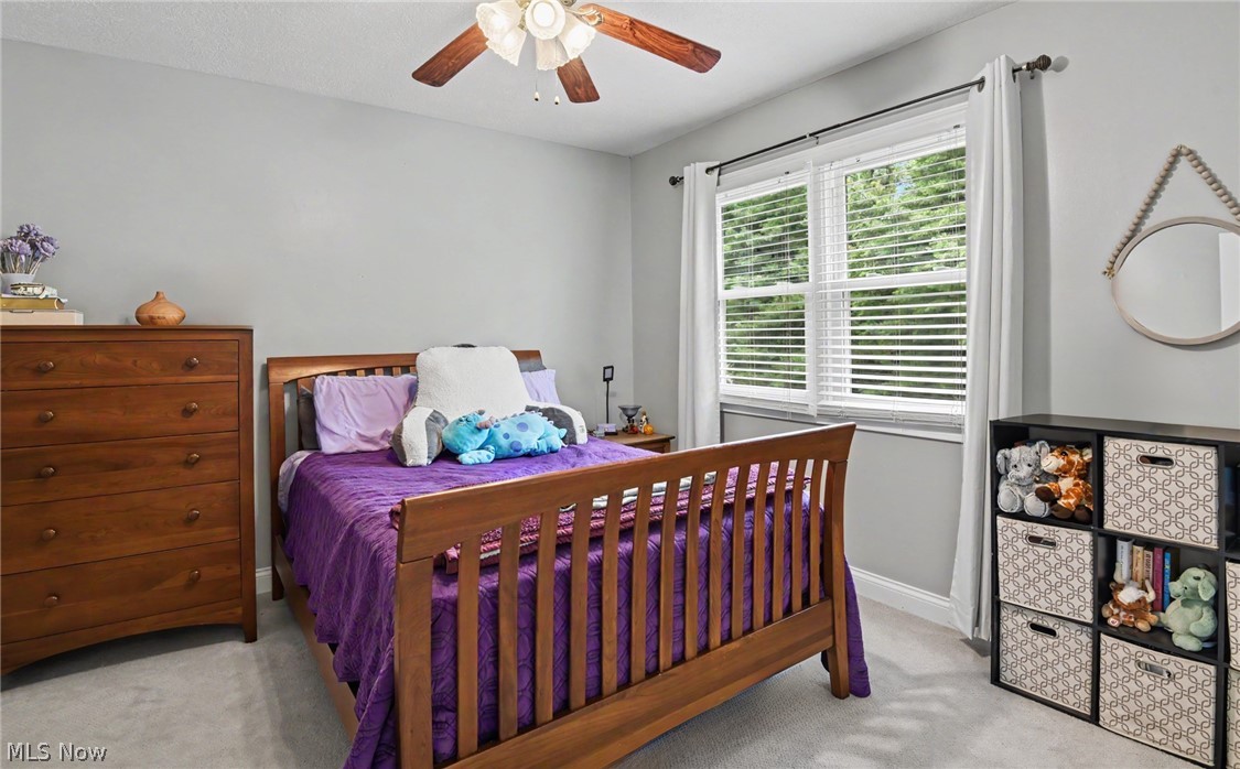 18 Morningview Circle Canfield OH 44406