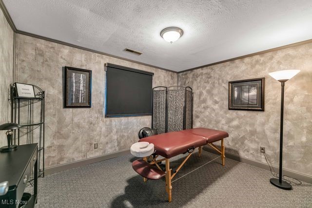 112 Vine Street Wellington OH 44090