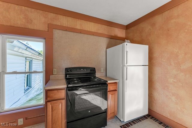 112 Vine Street Wellington OH 44090