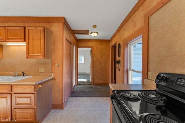 112 Vine Street Wellington OH 44090