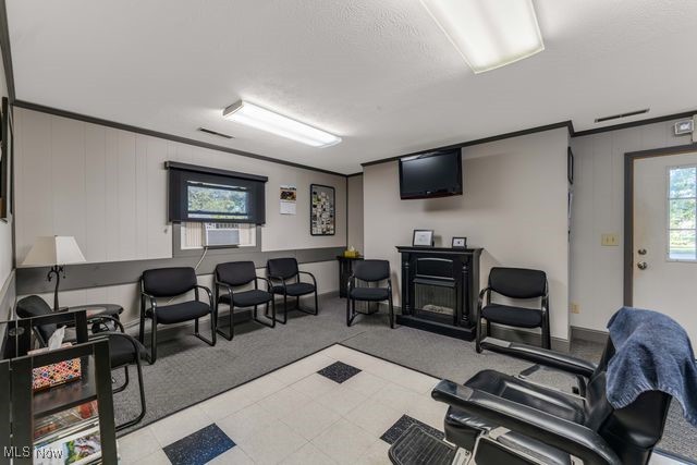 112 Vine Street Wellington OH 44090