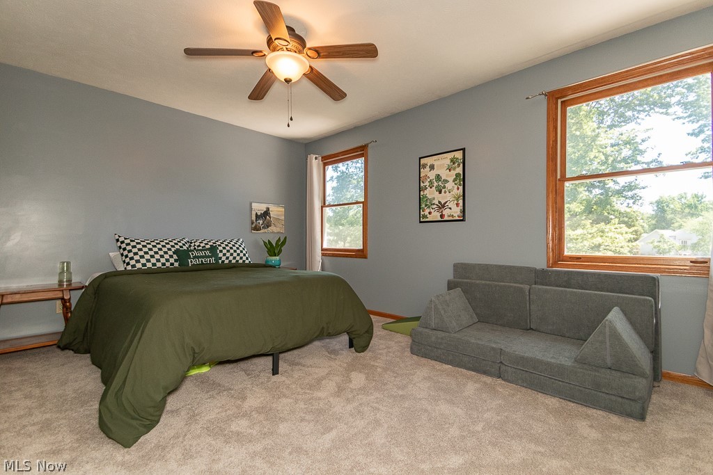 7633 Debonaire Drive Mentor OH 44060