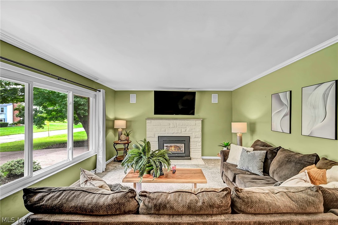 484 Beaumont Drive Fairlawn OH 44333
