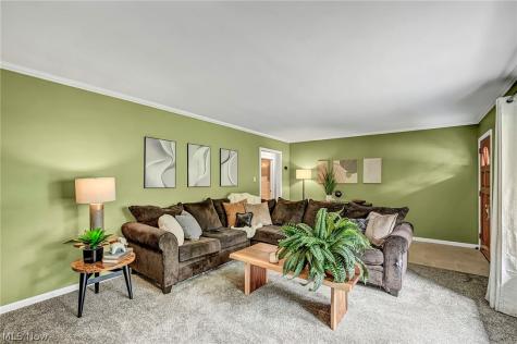 484 Beaumont Drive Fairlawn OH 44333
