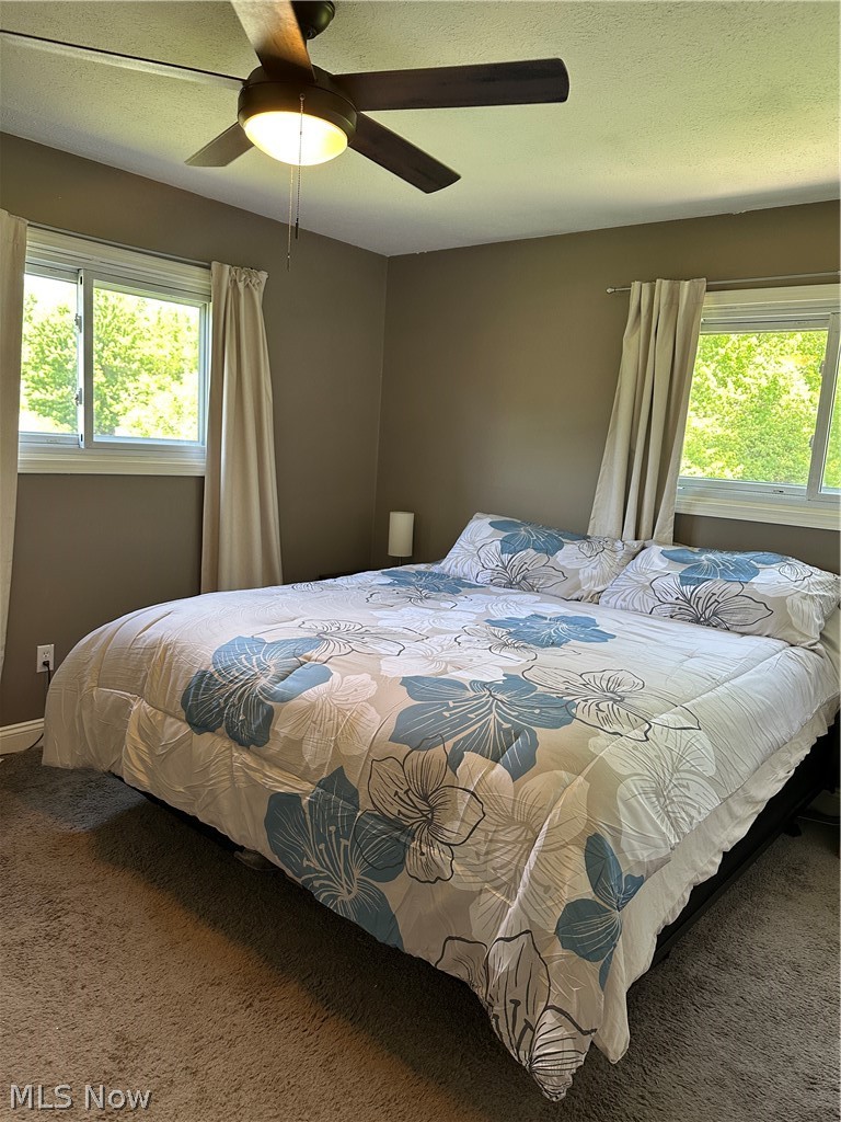 7825 Lester Drive Leroy OH 44077