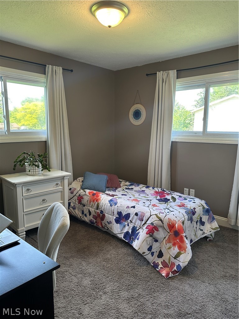 7825 Lester Drive Leroy OH 44077