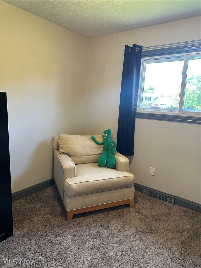7825 Lester Drive Leroy OH 44077