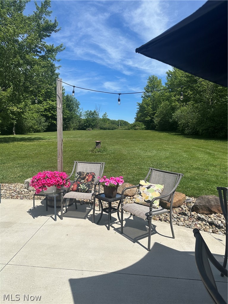 7825 Lester Drive Leroy OH 44077