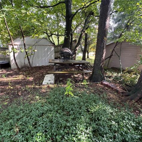 1303 Big Falls Avenue Akron OH 44310