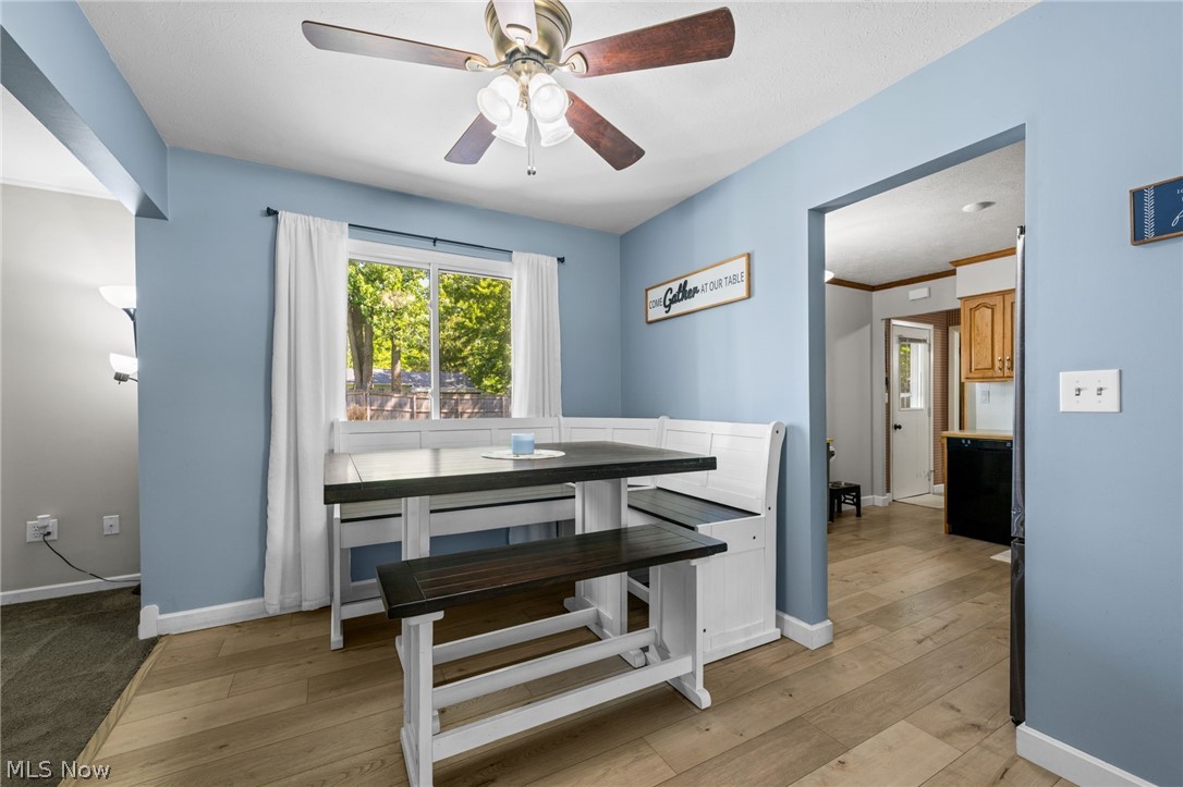 7139 Andover Drive Mentor OH 44060