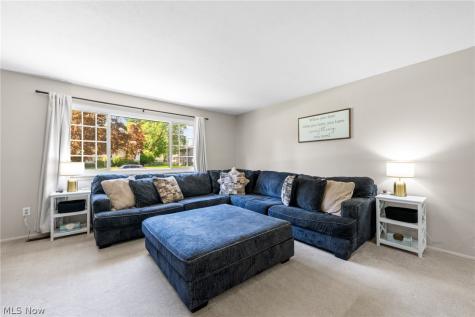 7139 Andover Drive Mentor OH 44060