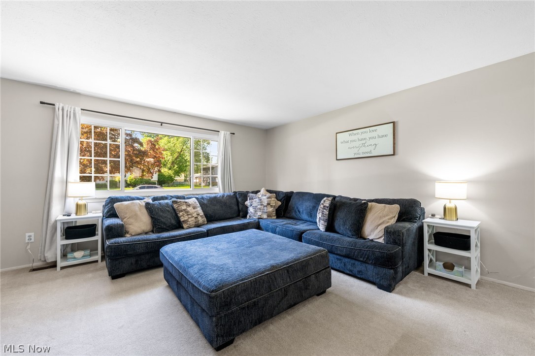 7139 Andover Drive Mentor OH 44060