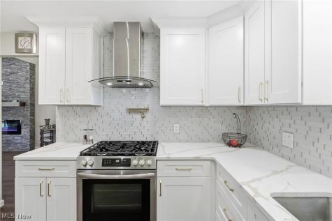 1633 Windsor Drive Mayfield Heights OH 44124
