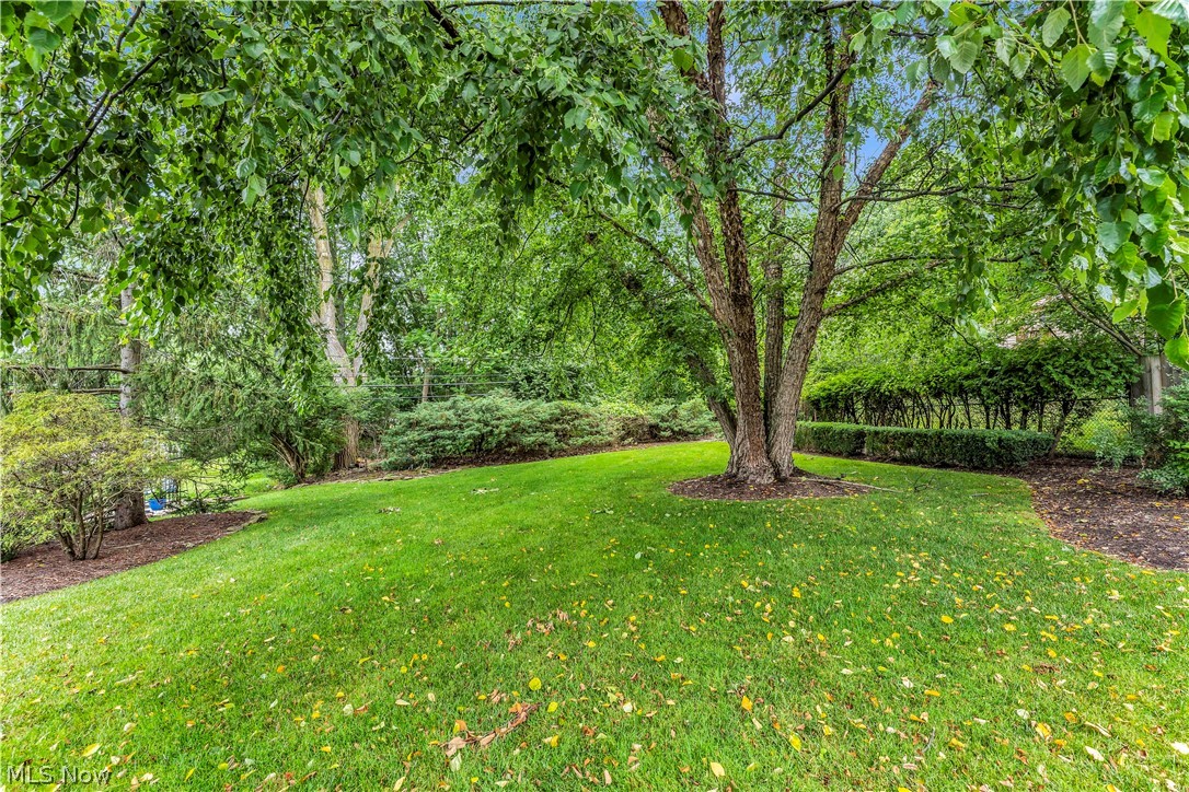6524 Brookhill Drive Garfield Heights OH 44125