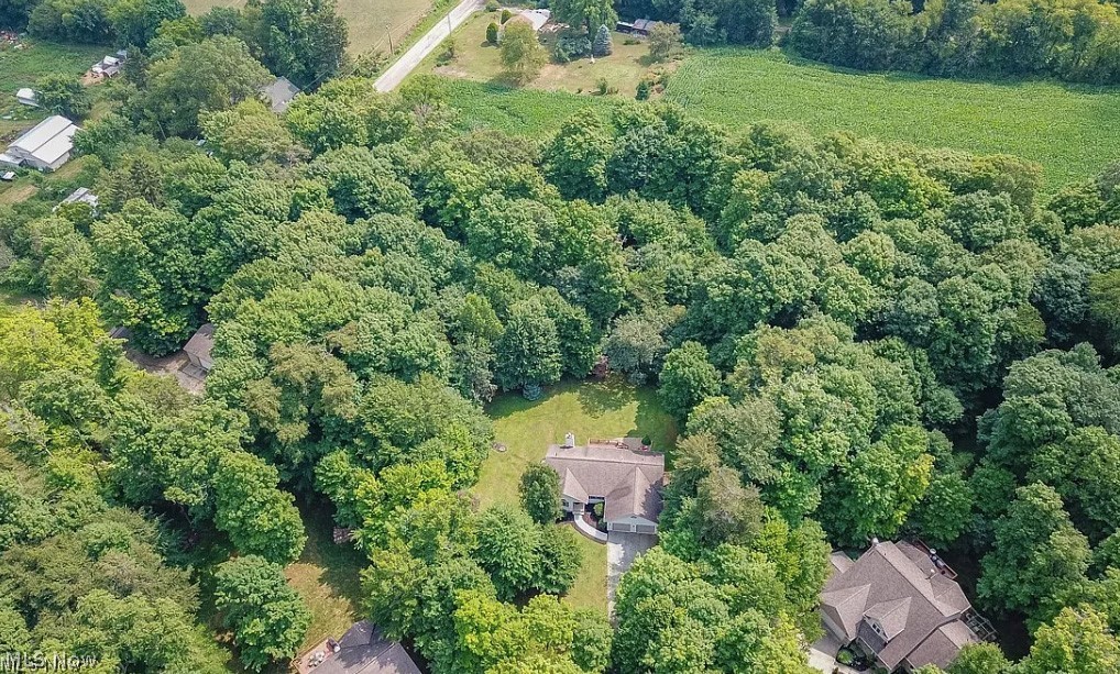 16710 Emmitsburg Road Orrville OH 44667