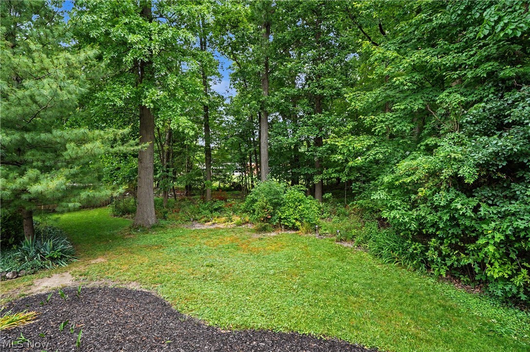 553 N Briarcliff Drive Canfield OH 44406