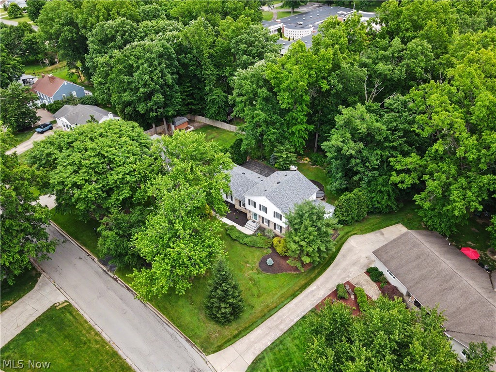 553 N Briarcliff Drive Canfield OH 44406