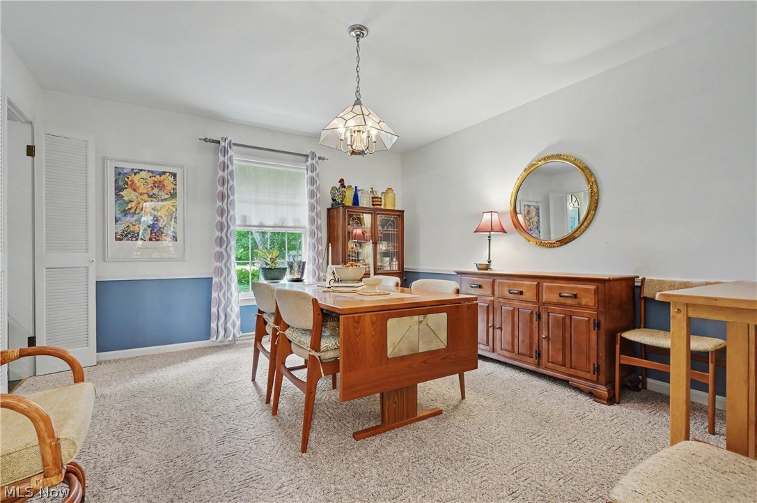 553 N Briarcliff Drive Canfield OH 44406