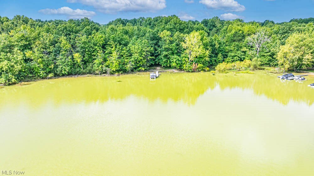 1460 Bonner Road Deerfield OH 44411