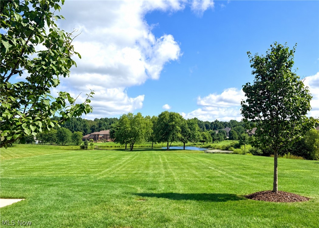 7004 Southberry Hill Canfield OH 44406
