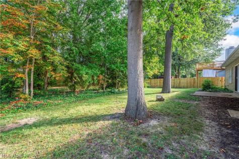 37888 N Doovys Street Avon OH 44011