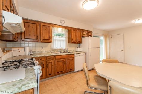 7973 Brichford Road Mentor OH 44060