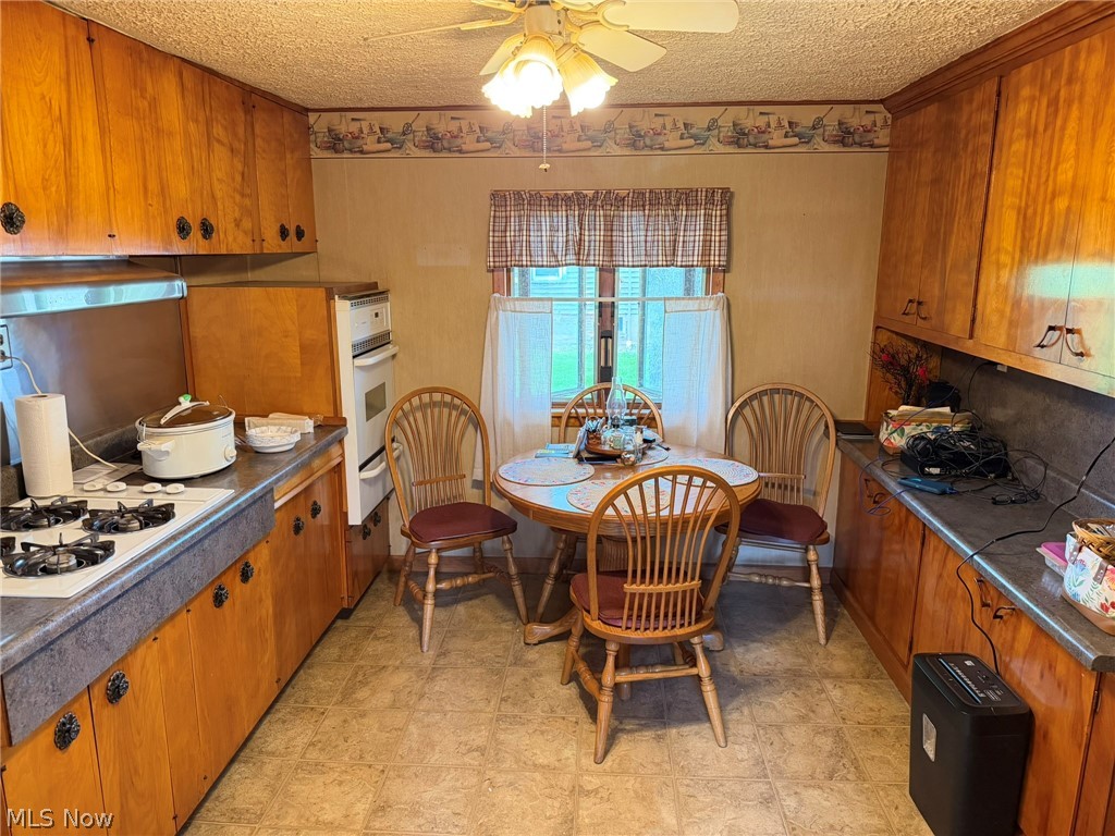 59 W Buckeye Street West Salem OH 44287