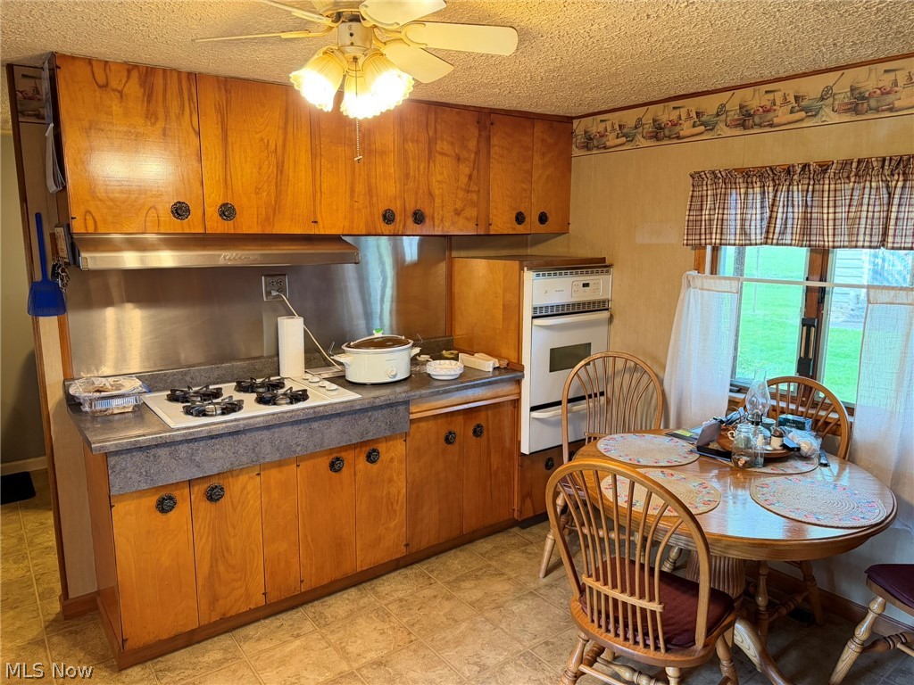 59 W Buckeye Street West Salem OH 44287