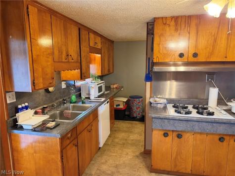 59 W Buckeye Street West Salem OH 44287