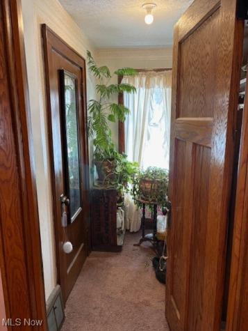 362 Palm Avenue Akron OH 44301