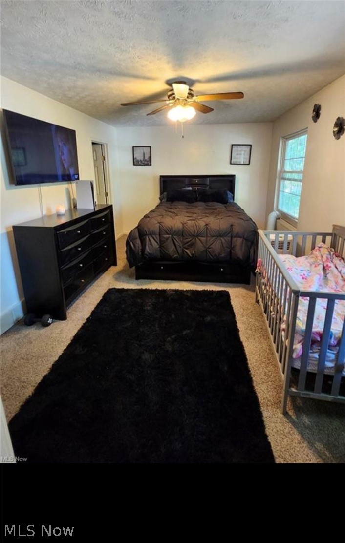 1573 E 337th Street Eastlake OH 44095