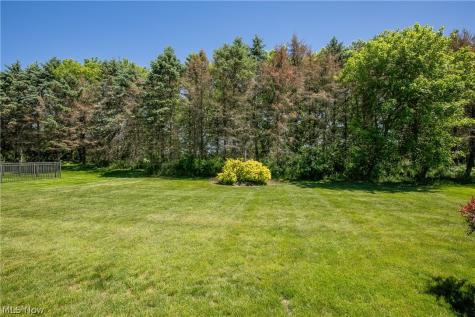 1424 Timbertop Drive Tallmadge OH 44278